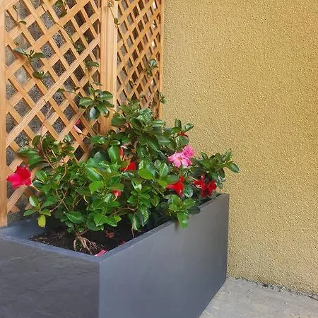 Superbe Avec Jacuzzi Et Jardin Prives Lamarque